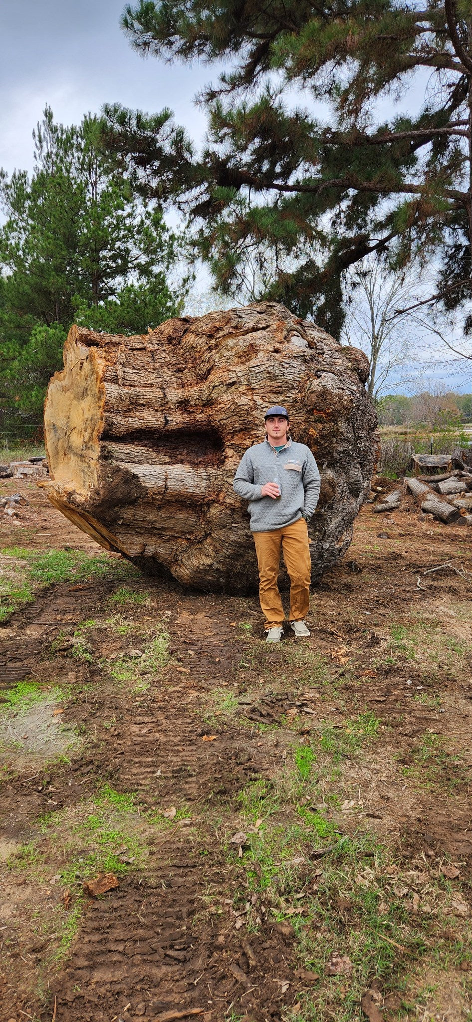 Post Oak Burl